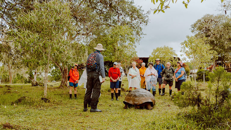 Seeing giant tortoises in the wild is a highlight of the new Western Galapagos cruise.