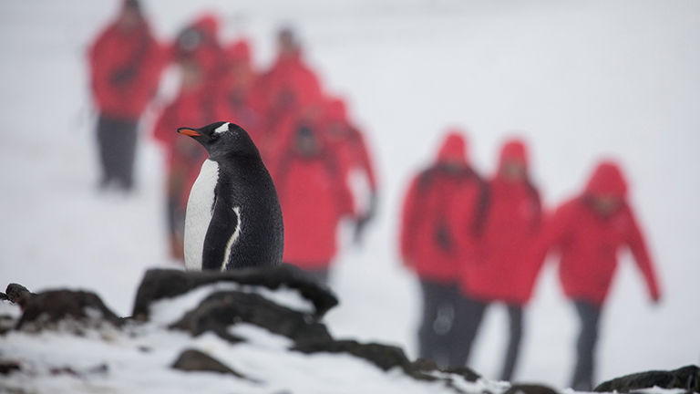 Silversea's included excursions extend to its expedition sailings.
