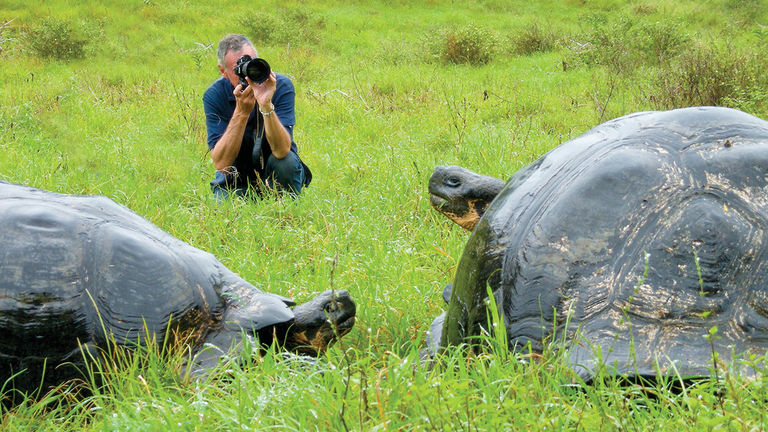 The islands have high levels of endemism, meaning that many species found there aren't found anywhere else.