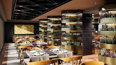 MSC World Europa Chefs Garden Kitchen_HERO