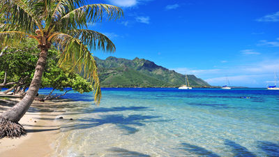Bookings Now Open for 2026 Paul Gauguin Cruises in French Polynesia