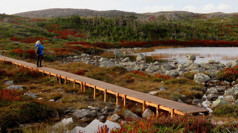 Adventure Canada’s itineraries offer a chance to explore Newfoundland’s natural beauty.