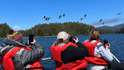 Guests spot wildlife on a skiff tour during UnCruise Adventures’ Northern Passages & Glacier Bay itinerary through Southeast Alaska.