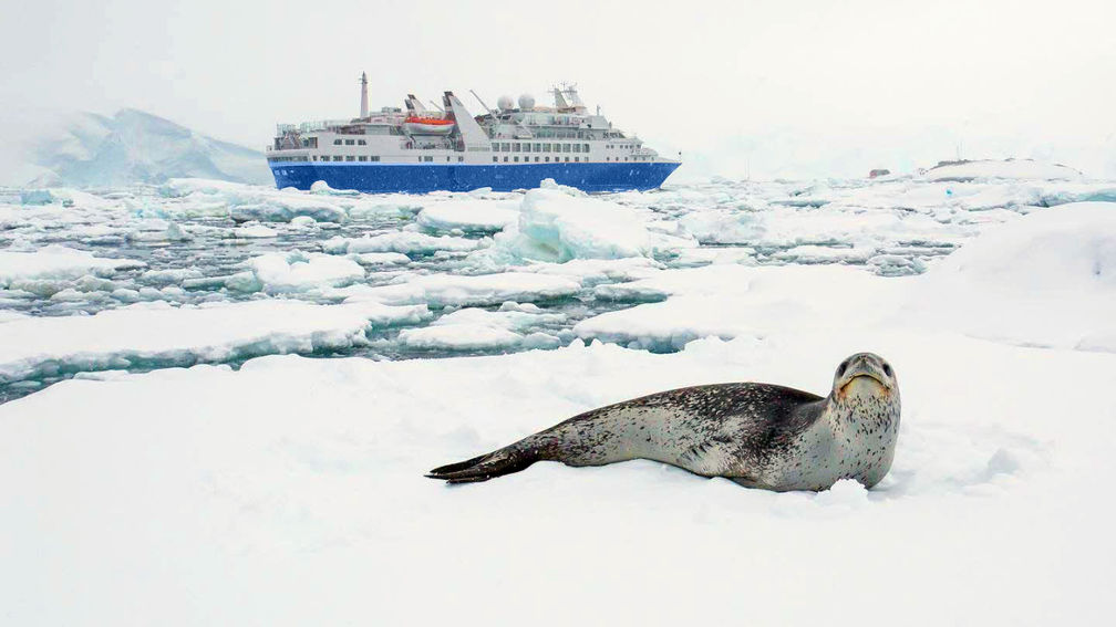 Polar Latitudes Expeditions Moves From Chartered to Owned Vessel With Discoverer