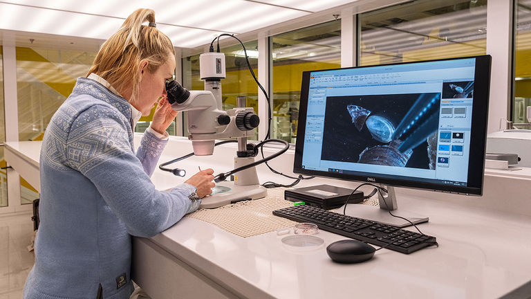 Citizen science onboard a Viking vessel gets clients involved.