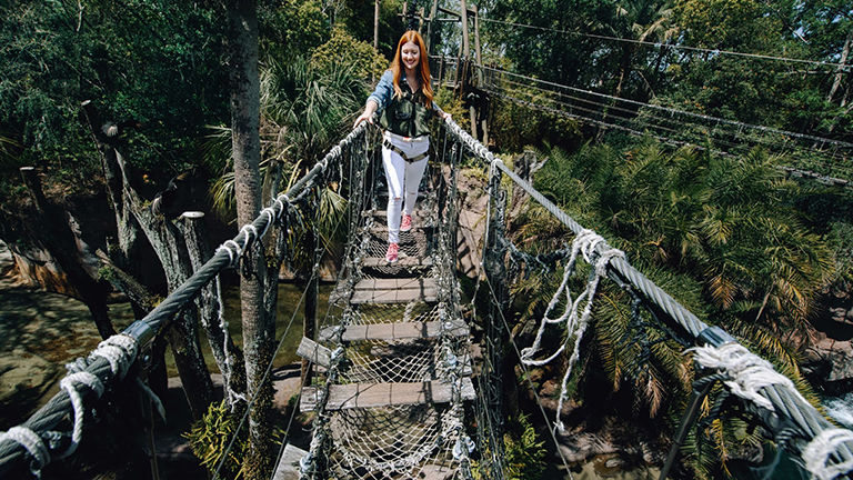 The privately guided Wild Africa Trek includes a rope bridge crossing.