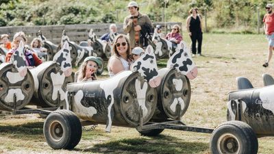 Topaz Farm_Ride