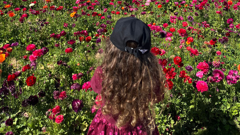 flowerscarlsbad2