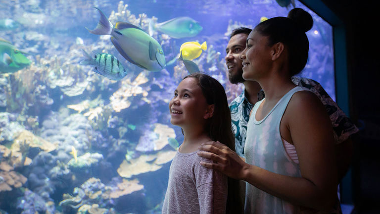 To avoid disappointment, book attractions, such as Maui Ocean Center, ahead of time.