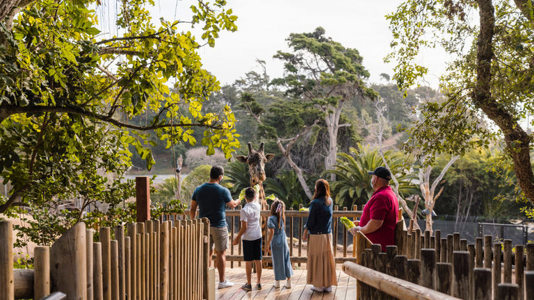 The 30-acre Santa Barbara Zoo is a must for families.