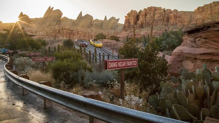 The combination of a Cars-themed dark ride and high-speed road race makes Radiator Springs Racers a favorite for teens and tweens.