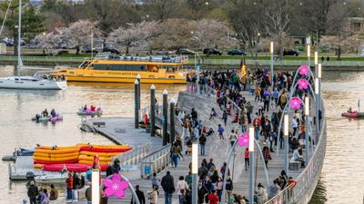 A Family Travel Guide to Washington, D.C.