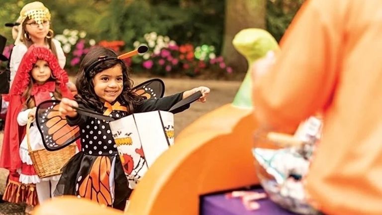 Daytime Halloween Spooktacular events at SeaWorld parks include trick-or-treating, kid-friendly Halloween shows and characters.