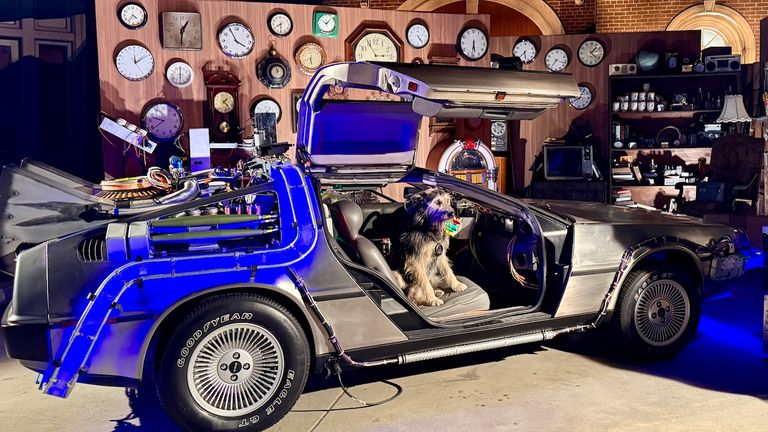 Einstein posed for his fans in the DeLorean time machine during Universal Fan Fest Nights.