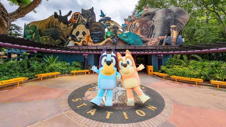Bluey and Bingo have arrived at Conservation Station in Animal Kingdom.