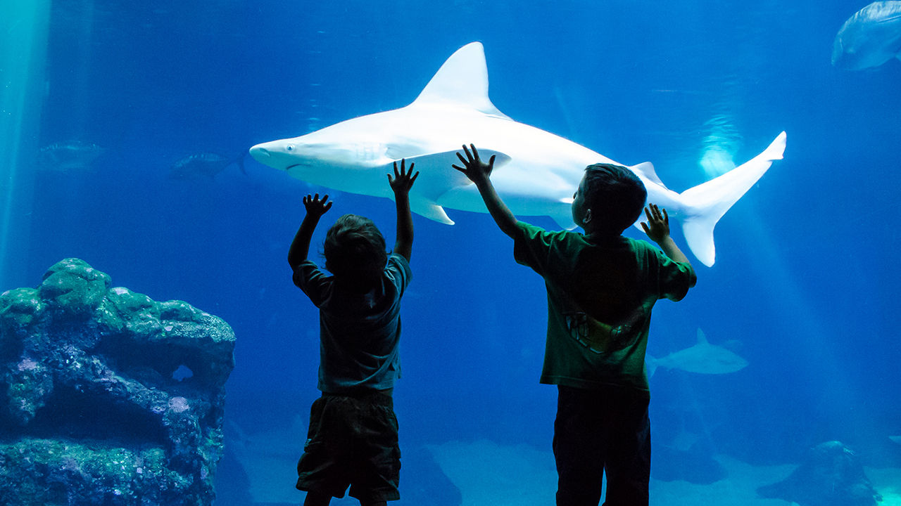 5 Top Things to Do in Maui With Toddlers
