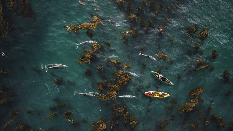 terraneabeachcovekayaking