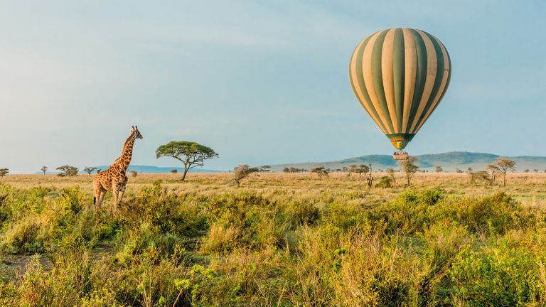 Active and adventurous trips are on trend for this market.