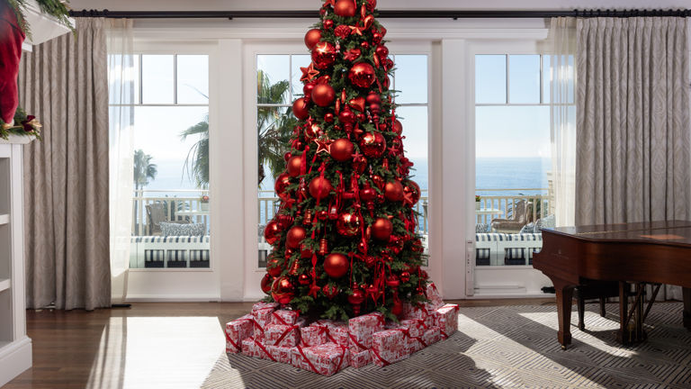 montagelagunachristmas