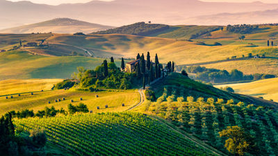 Italy has been revealed as the top destination for travelers in 2024 and 2025, according to USTOA members.