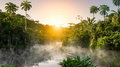 AmazonRiver_HERO