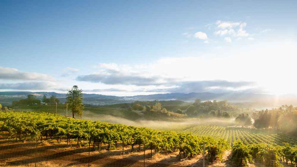 HunterMoss has launched its luxury road trips in the U.S.