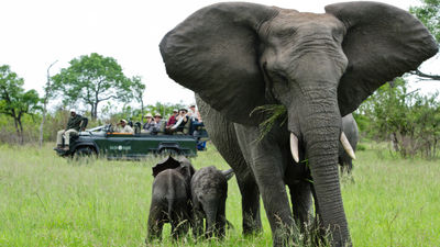 African Travel, Inc. Introduces Escorted ‘Concierge Safaris’ for 2025