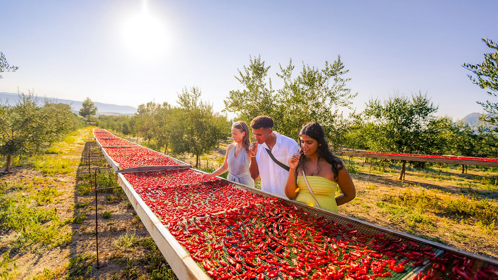 Contiki Expands European and Peruvian Offerings with New Trips
