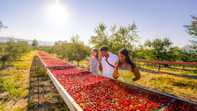 Contiki Expands European and Peruvian Offerings with New Trips