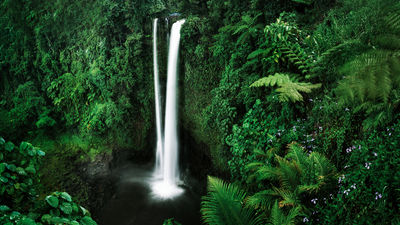 Travelers on Intrepid’s Samoa Adventure get active in nature, including visiting scenic waterfalls.