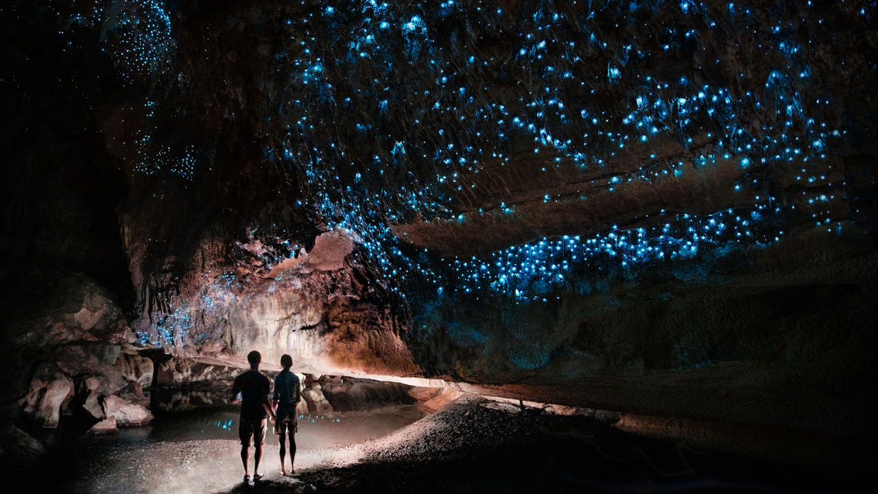 Kensington is catering to families with customizable trips to New Zealand, including visits to the glowworm caves of Waitomo.