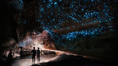 Kensington is catering to families with customizable trips to New Zealand, including visits to the glowworm caves of Waitomo.