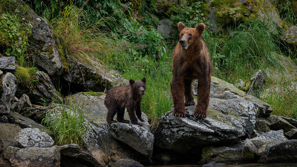 Review: Sailing Alaska on Natural Habitat Adventures’ Charter Ship Ursus