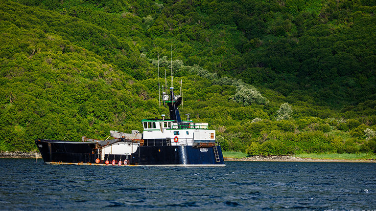 Ursus is not a luxurious ship, but provides a comfortable base for more adventurous travelers. Ursus is not a luxurious ship, but provides a comfortable base for more adventurous travelers.
