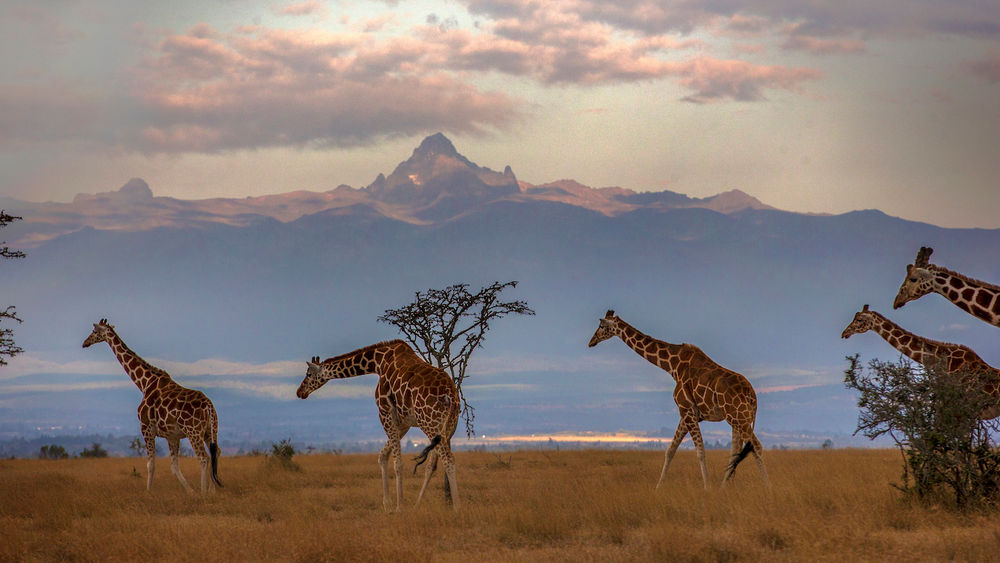 National Geographic Expeditions