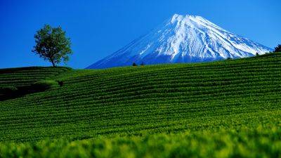 Shizuoka Japan Mount Fuji