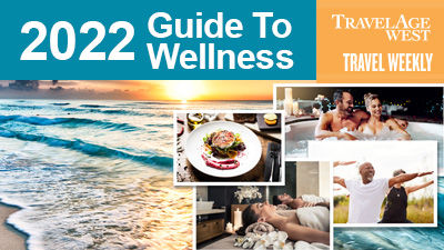 Guide to Wellness