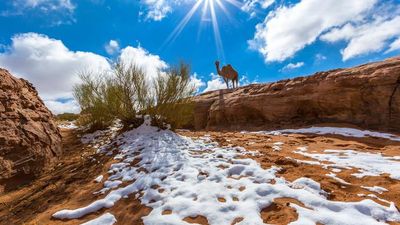 Discover a New Realm of Travel Possibilities in Saudi Arabia
