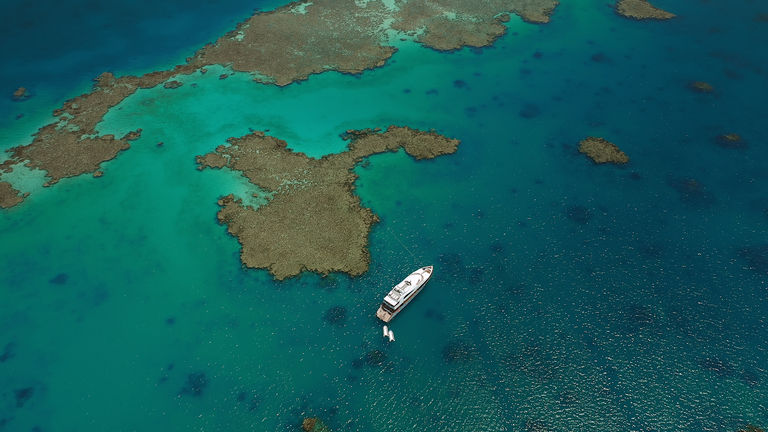 Saudi Arabia coral reef
