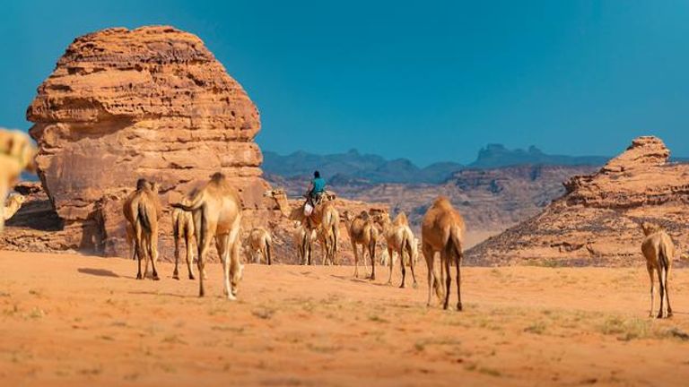 Saudi AlUla