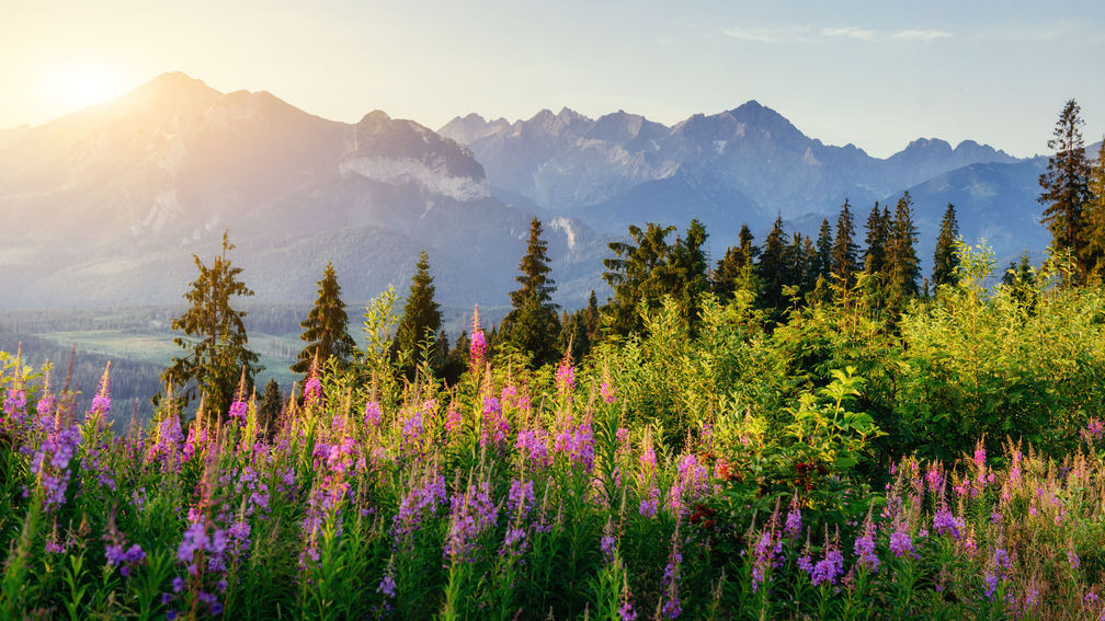 Key Spring Travel Trends for 2026