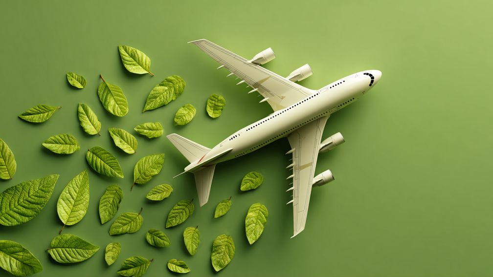 virtuososustainability