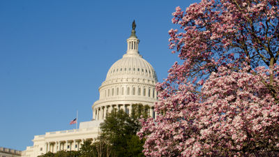 Registration for ASTA’s 2025 Legislative Day is open.