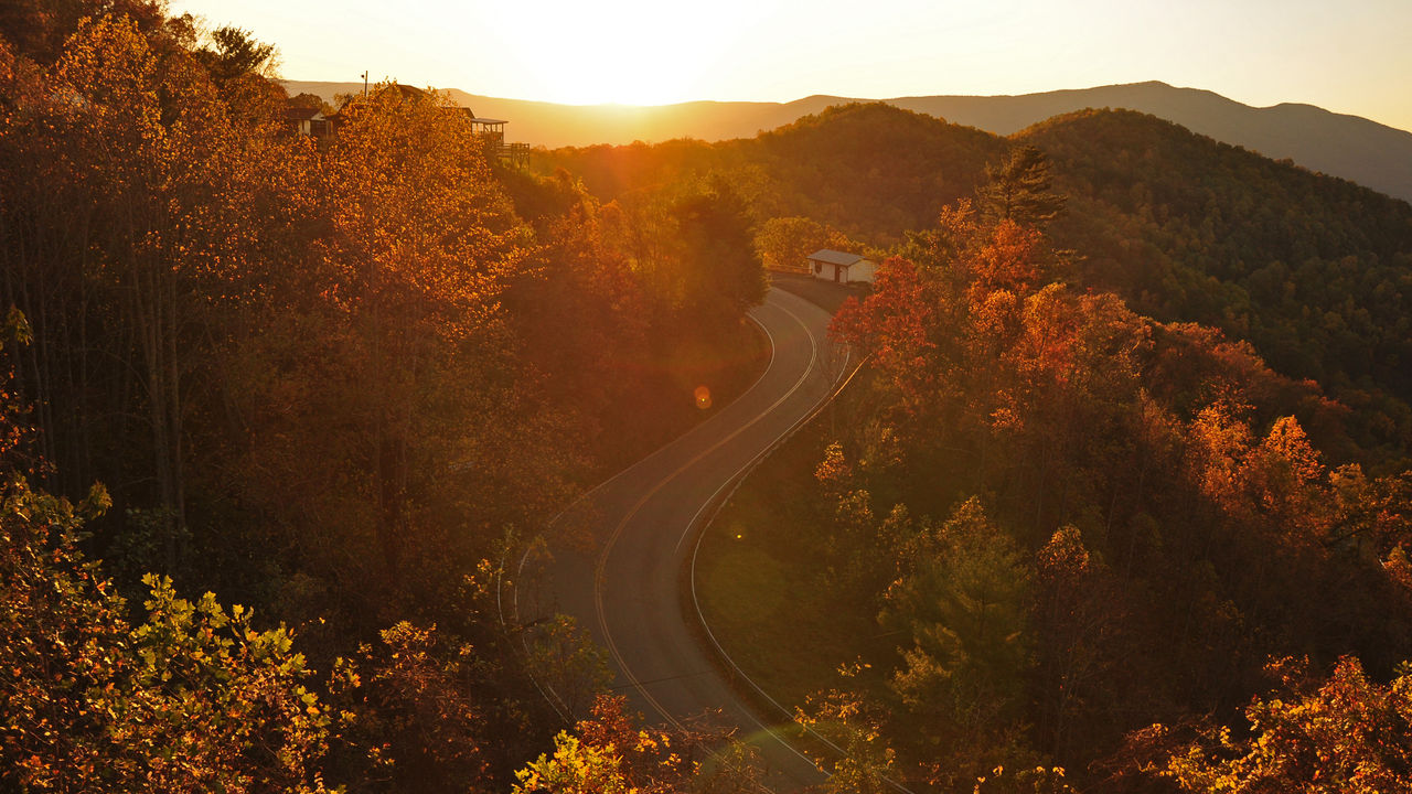 Fall foliage is leading to increased interest in visiting Asheville, North Carolina, this season.