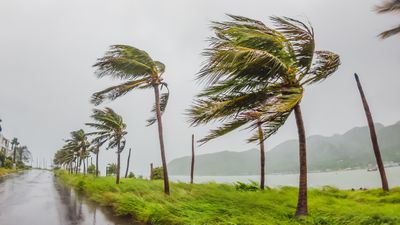 Weather Concerns Increasingly Impact U.S. Traveler Decisions, Survey Finds