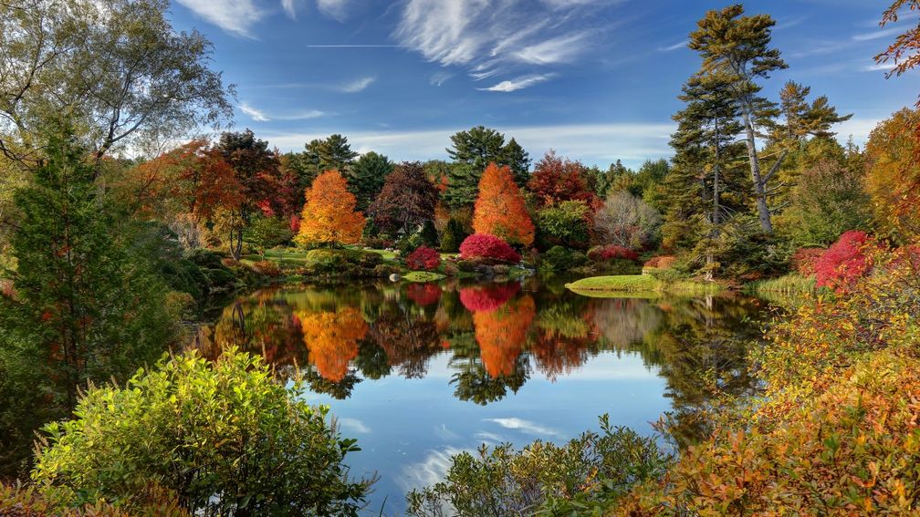 Fall 2024 Travel Trends to Watch