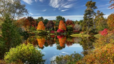 Bar Harbor, Maine, is a popular domestic destination this fall.