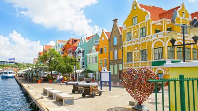 Caribbean_Specialist