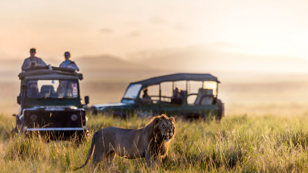 Safaris are one of the most popular wildlife-based travel opportunities, but it’s important to work with responsible suppliers.
