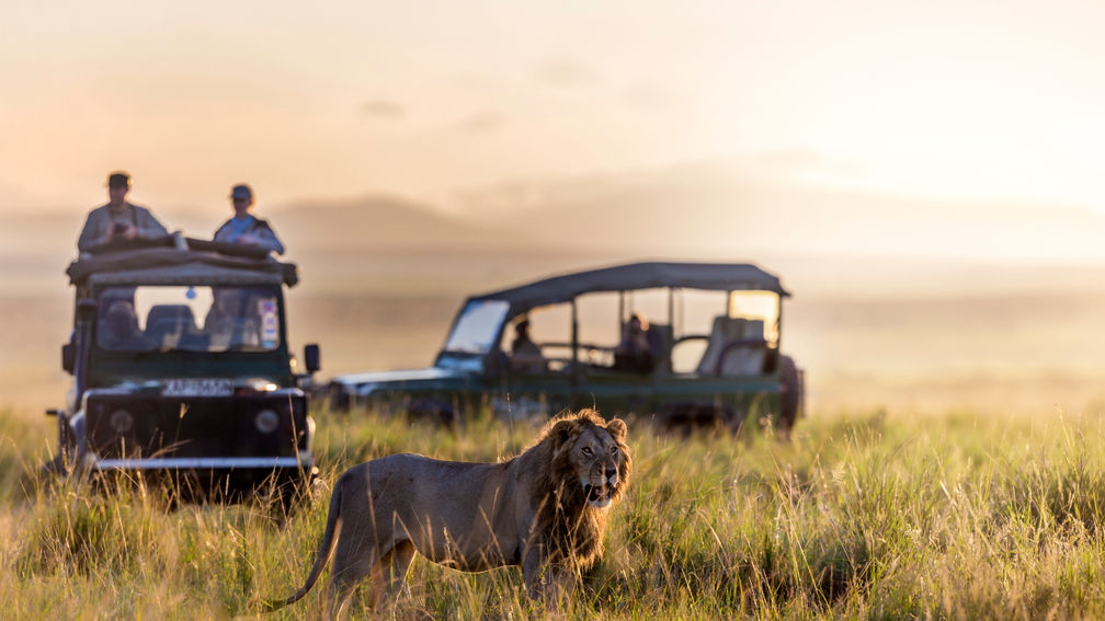 A Guide to Ethical Wildlife Travel